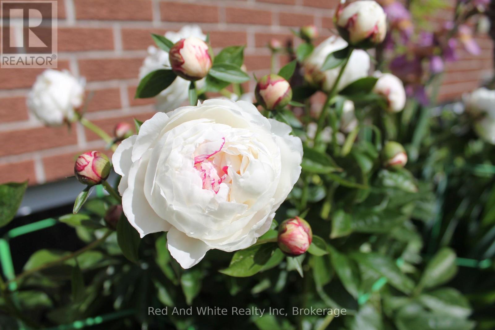 449 Greenfield Avenue, Kitchener, Ontario  N2C 1E9 - Photo 38 - X12931716