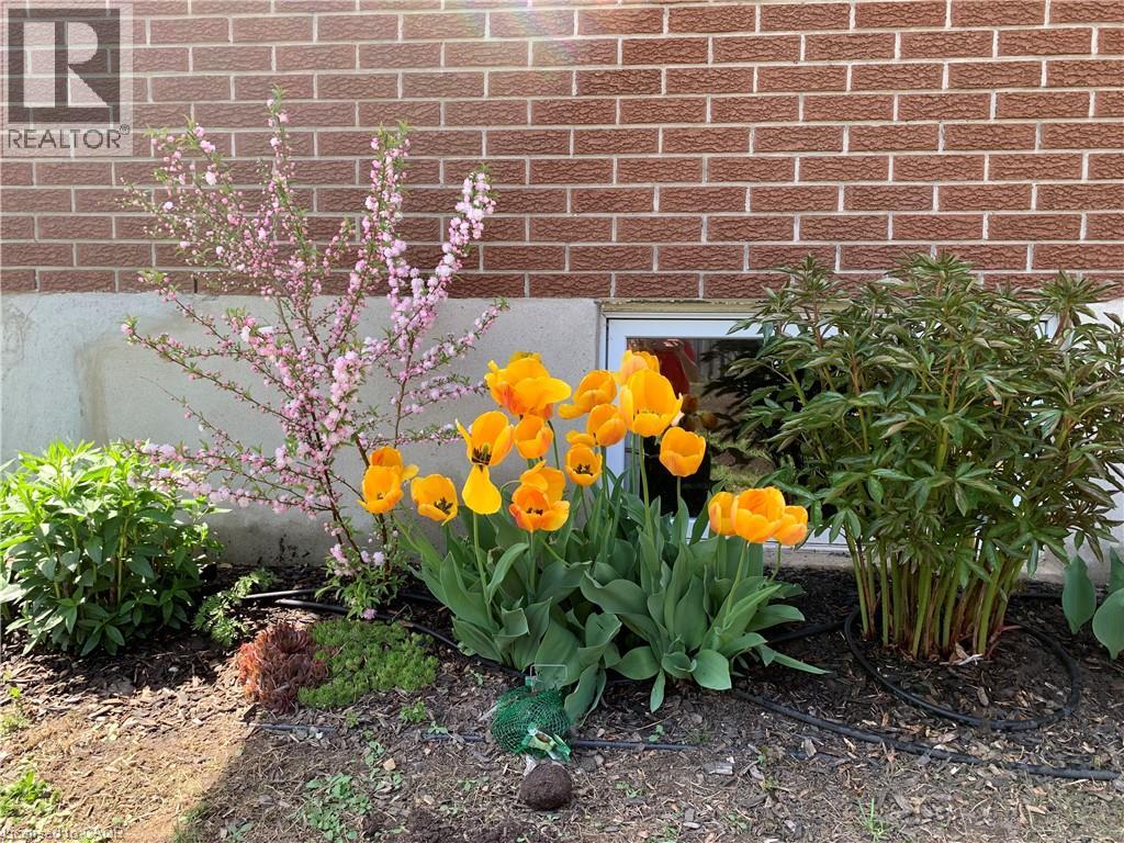 449 Greenfield Avenue, Kitchener, Ontario  N2C 1E9 - Photo 41 - 40814806