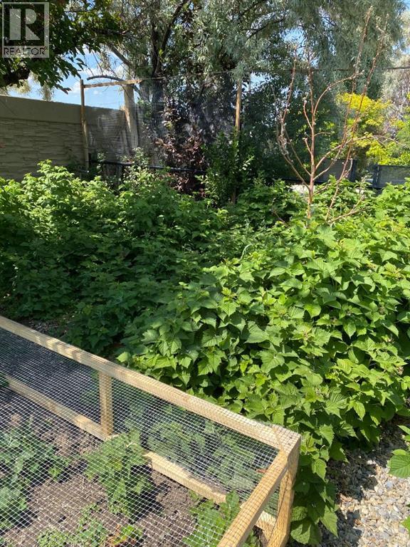 3095 Cottonwood Way Sw, Medicine Hat, Alberta  T1B 4J6 - Photo 44 - A2293787