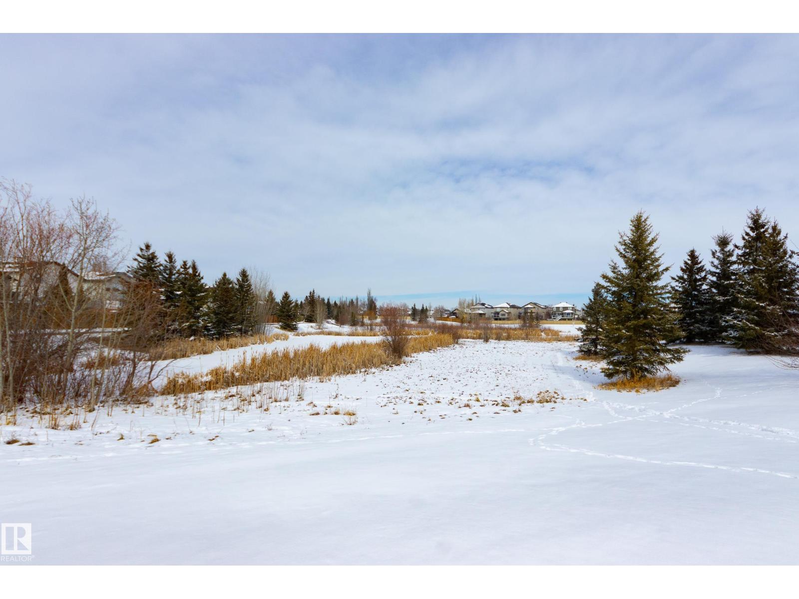 14 Landon Cr, Spruce Grove, Alberta  T7X 0E4 - Photo 38 - E4479412