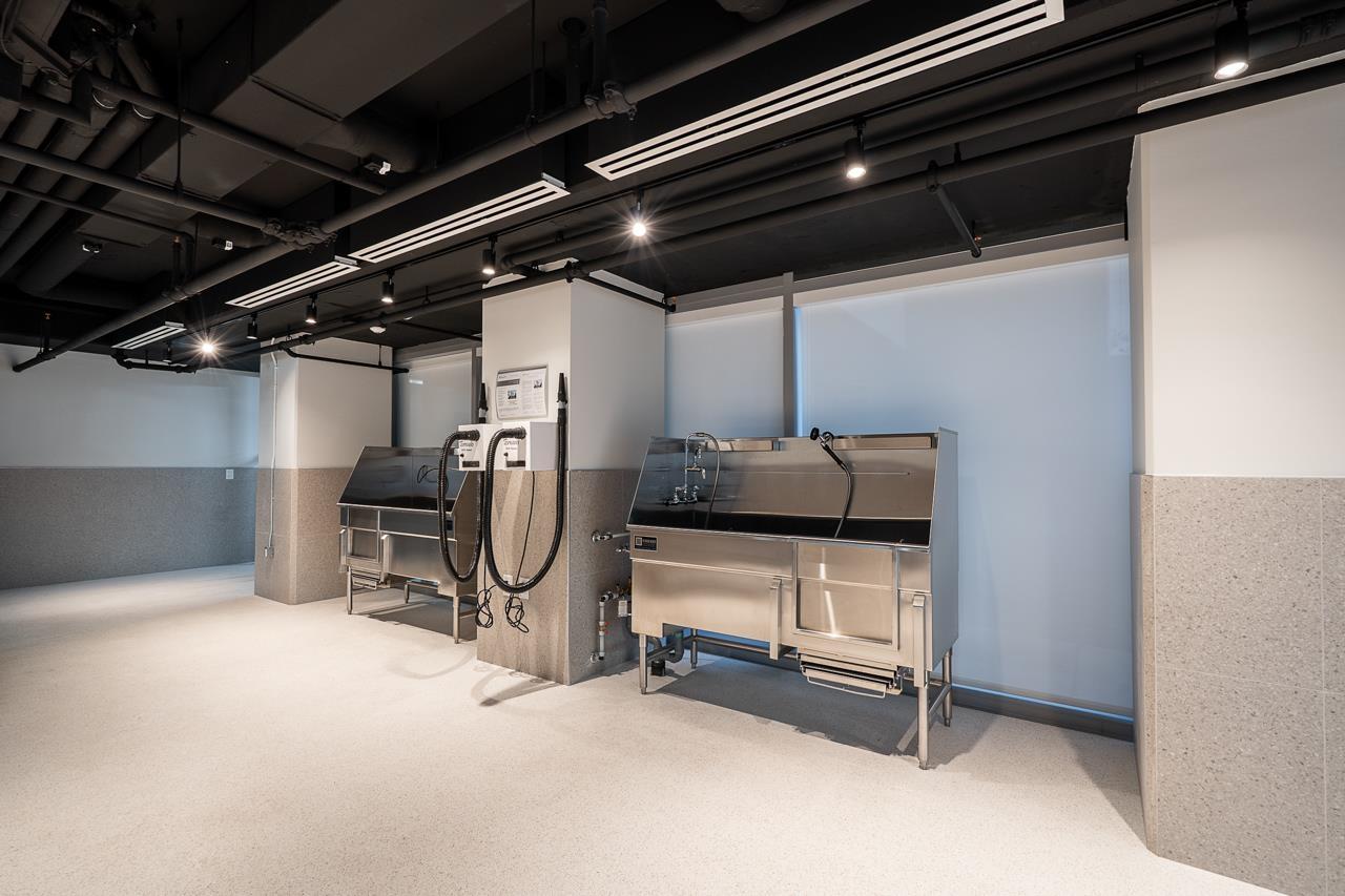 3001 13573 98a Avenue, Surrey, British Columbia  V3T 0X1 - Photo 26 - R3102725