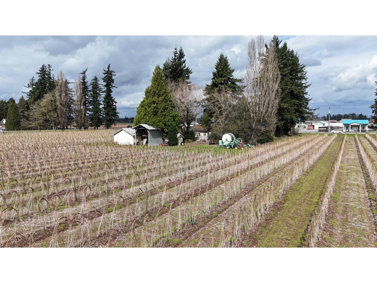 31964 Huntingdon Road, Abbotsford, British Columbia  V2T 6B8 - Photo 11 - R3103381