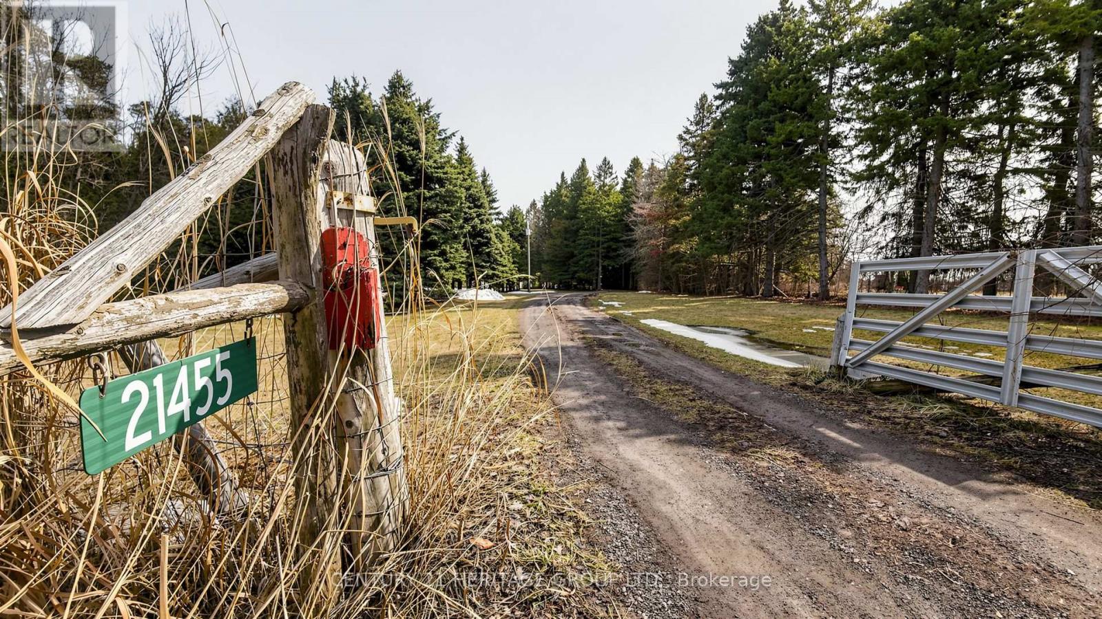 21455 Warden Avenue, East Gwillimbury, Ontario  L0G 1R0 - Photo 3 - N12910654