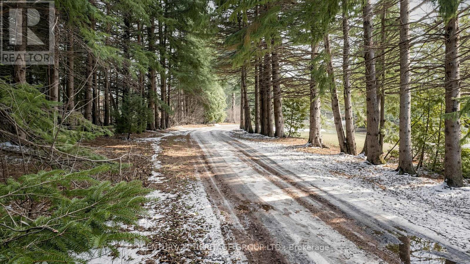 21455 Warden Avenue, East Gwillimbury, Ontario  L0G 1R0 - Photo 4 - N12910654