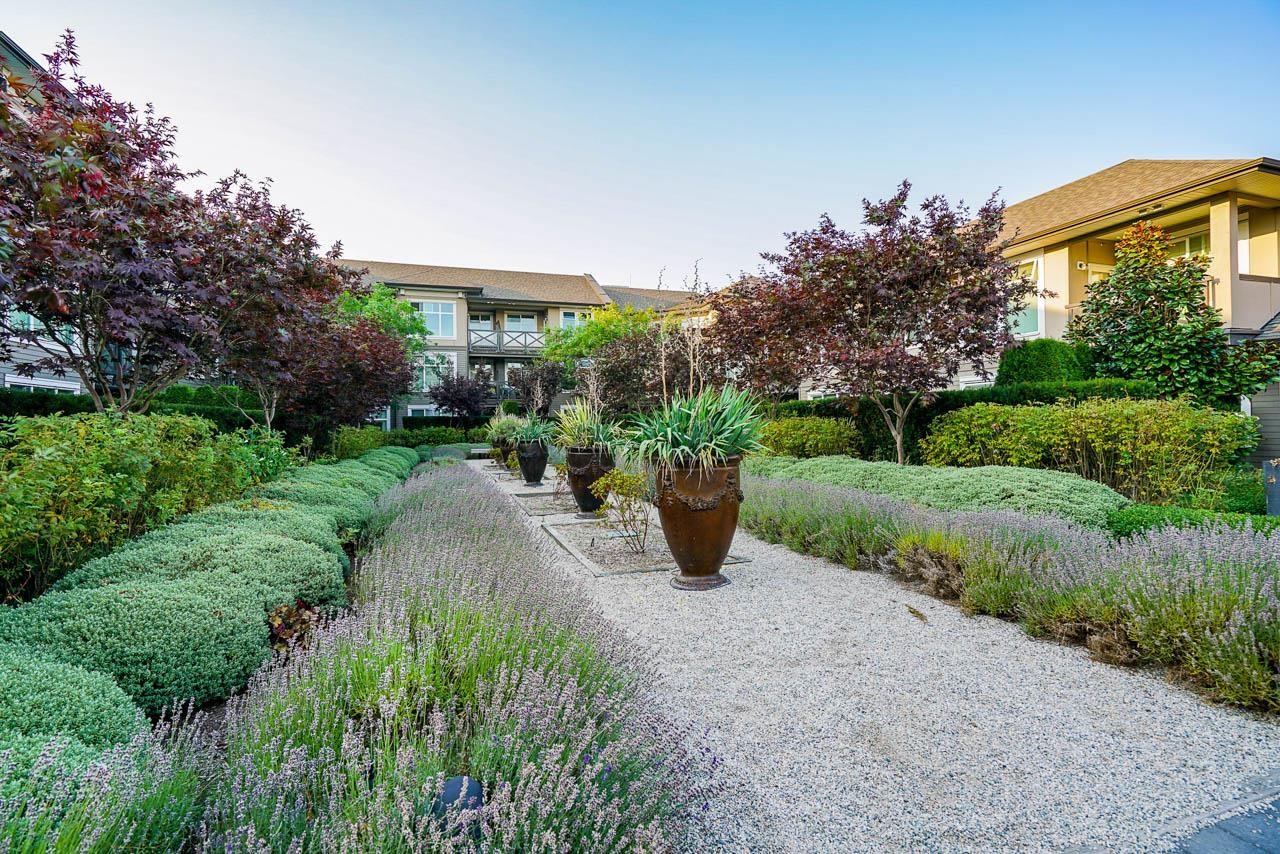 251 6758 188 Street, Surrey, British Columbia  V4N 6K2 - Photo 5 - R3103854