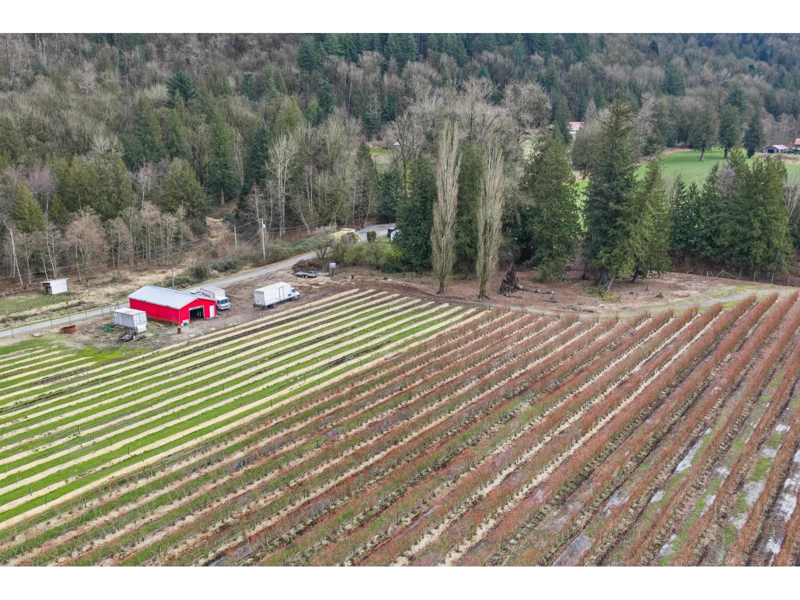 6209 Little Street, Abbotsford, British Columbia  V3G 1P5 - Photo 10 - R3092939