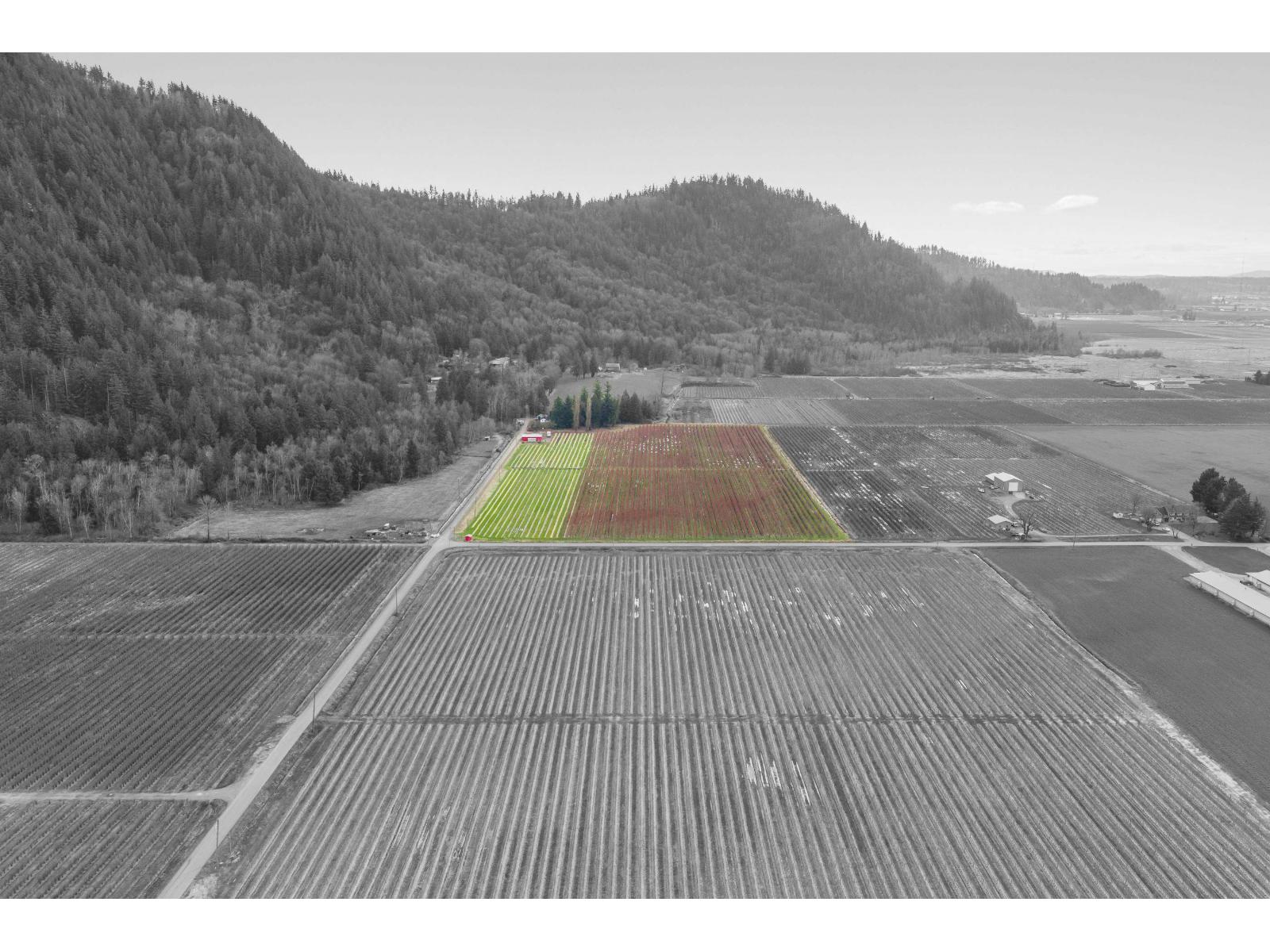 6209 Little Street, Abbotsford, British Columbia  V3G 1P5 - Photo 3 - R3092939