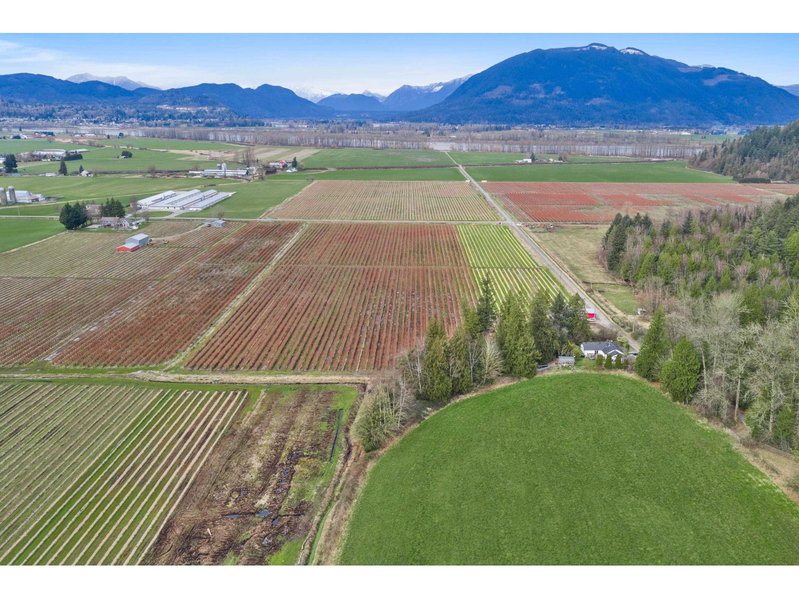 6209 Little Street, Abbotsford, British Columbia  V3G 1P5 - Photo 6 - R3092939