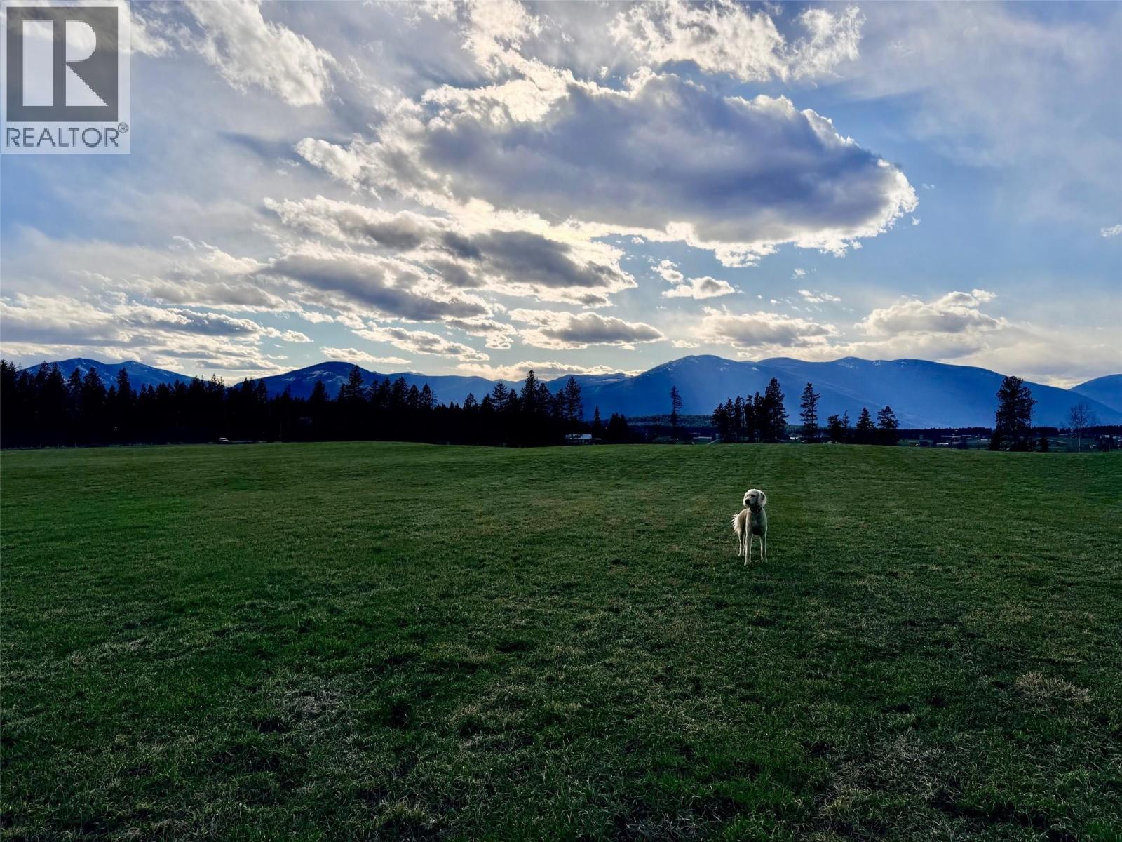 Canyon-Lister Road Lot# Lot 4, Lister, British Columbia  V0B 1G4 - Photo 14 - 10378169