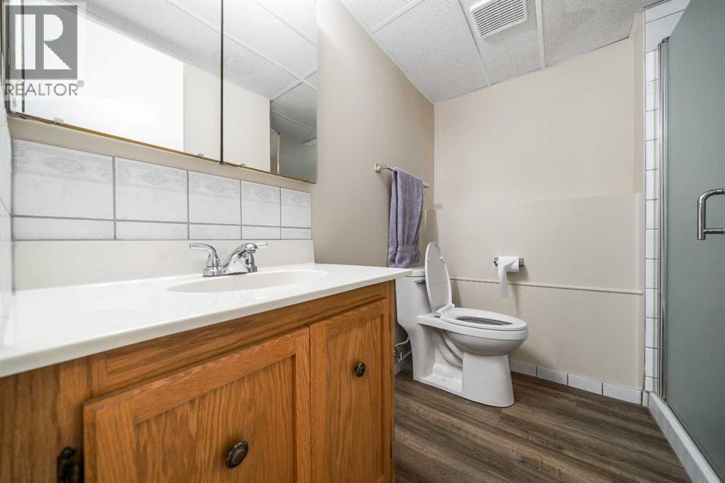 25 Seven Persons Crescent Sw, Medicine Hat, Alberta  T1B 2A6 - Photo 26 - A2295812