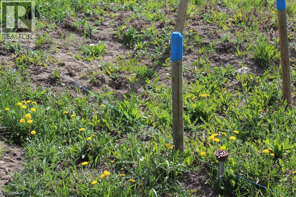 32079 Willow Way, Rural Rocky View County, Alberta  T4C 2Y4 - Photo 9 - A2297217