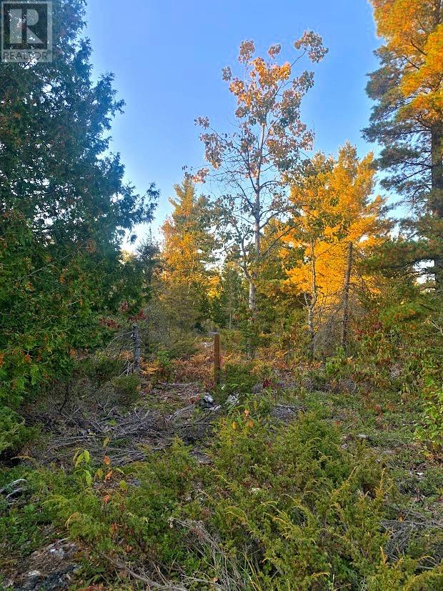 L17c8 Evergreen Drive, Spring Bay, Ontario  P0P 2B0 - Photo 2 - 2126951