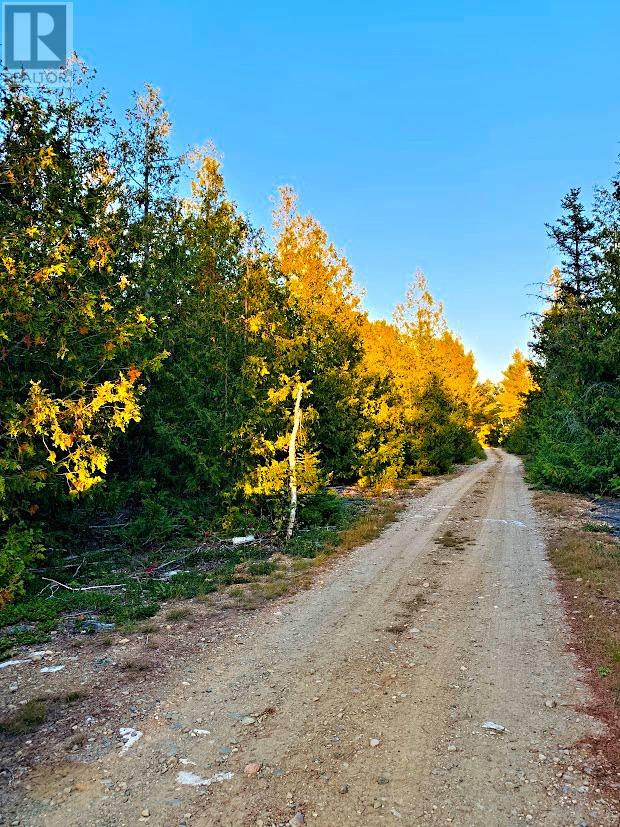 L17c8 Evergreen Drive, Spring Bay, Ontario  P0P 2B0 - Photo 3 - 2126951