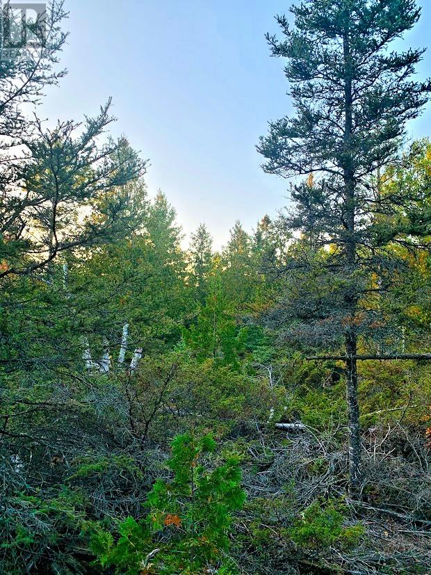 L17c8 Evergreen Drive, Spring Bay, Ontario  P0P 2B0 - Photo 5 - 2126951