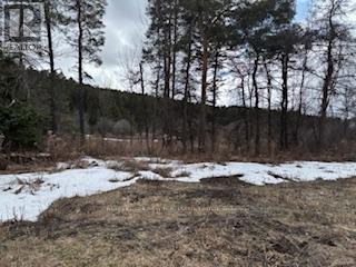 937054 Airport Road, Mulmur, Ontario  L9V 0L6 - Photo 4 - X12920602