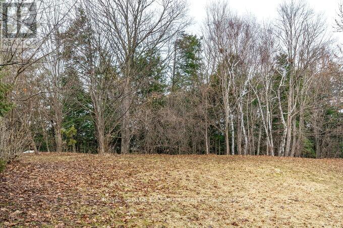 50 Panorama Crescent, Vaughan, Ontario  L4H 1J9 - Photo 42 - N12917024