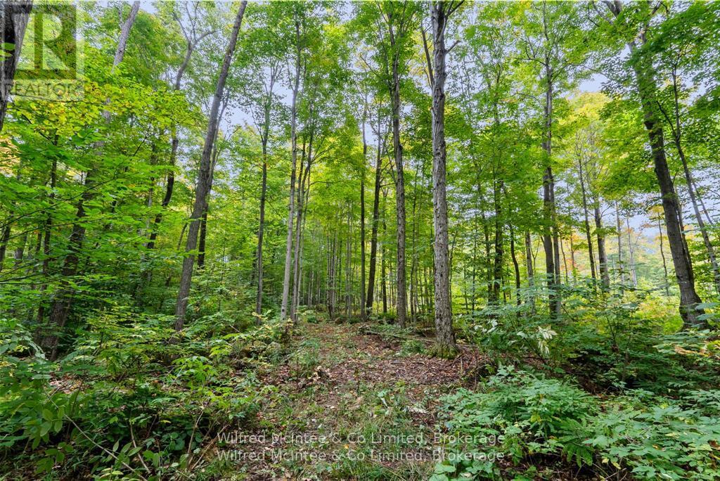 442289 Concession 21, Georgian Bluffs, Ontario  N0H 2T0 - Photo 34 - X12932334