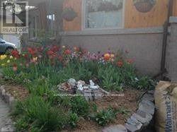 29 Victoria Street, Orangeville, Ontario  L9W 1X1 - Photo 2 - W12932330