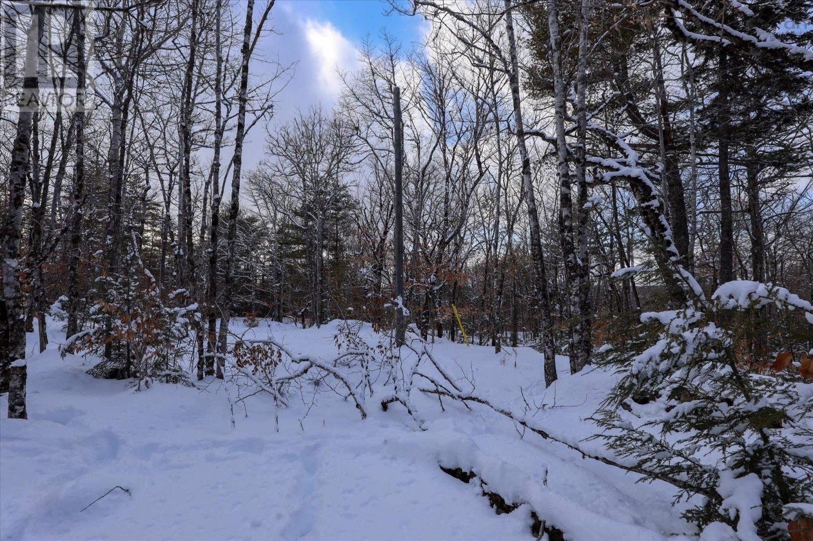 170 Uhlman Point Road, Molega North, Nova Scotia  B0T 1X0 - Photo 25 - 202602423