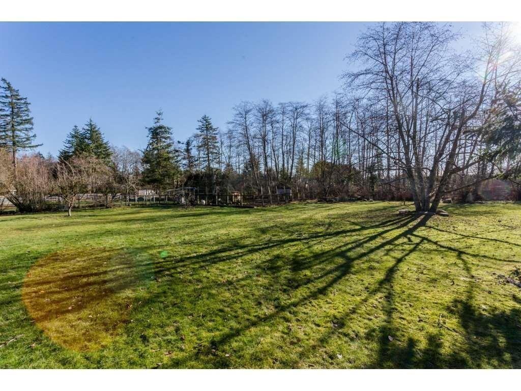 16910 23 Avenue, Surrey, British Columbia V3Z 9Z2 - Photo 10 - R3101711