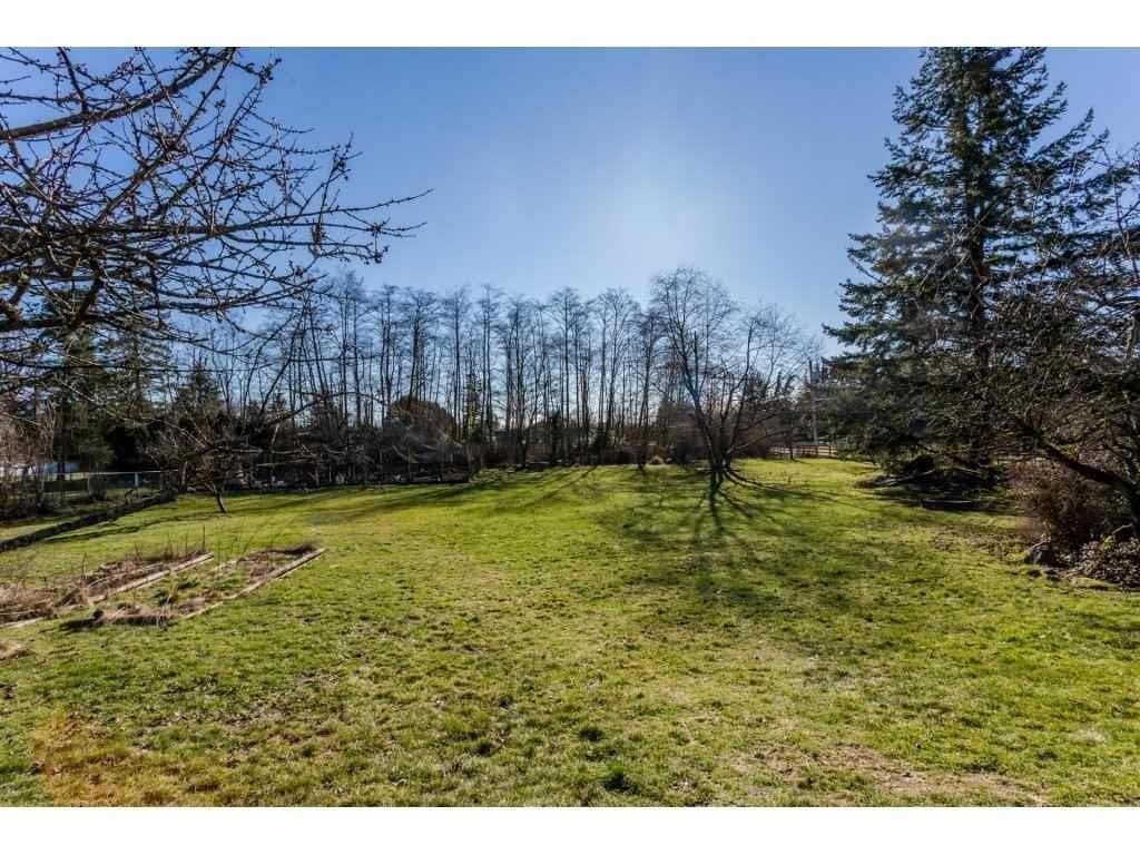 16910 23 Avenue, Surrey, British Columbia V3Z 9Z2 - Photo 12 - R3101711