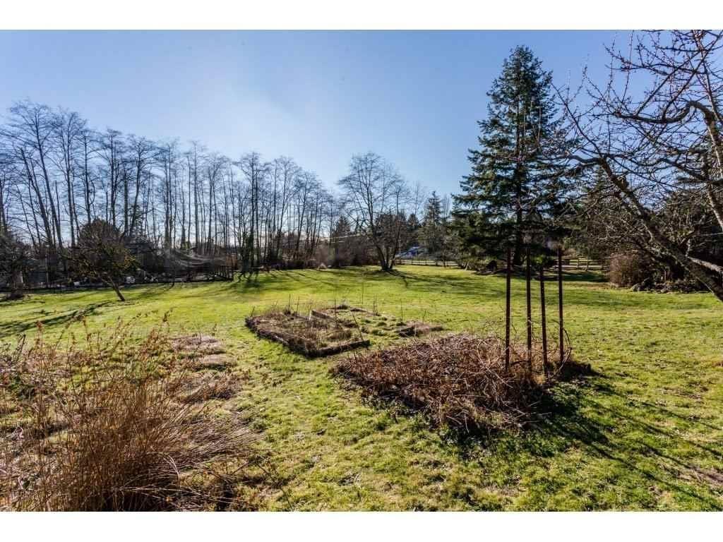 16910 23 Avenue, Surrey, British Columbia V3Z 9Z2 - Photo 11 - R3101711