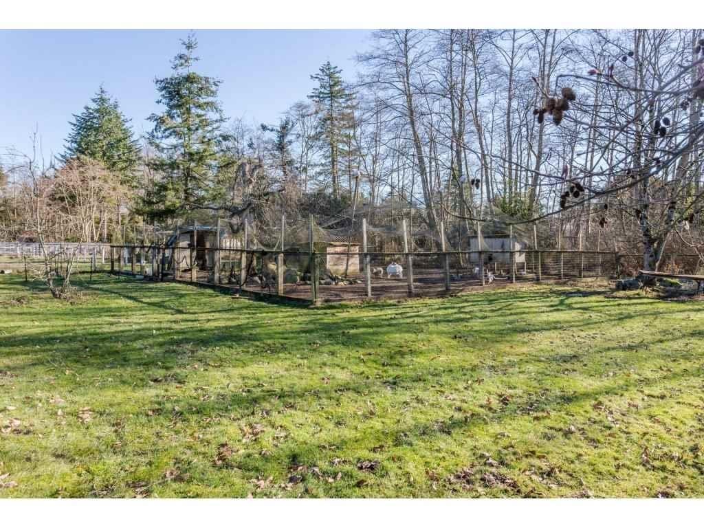 16910 23 Avenue, Surrey, British Columbia V3Z 9Z2 - Photo 13 - R3101711