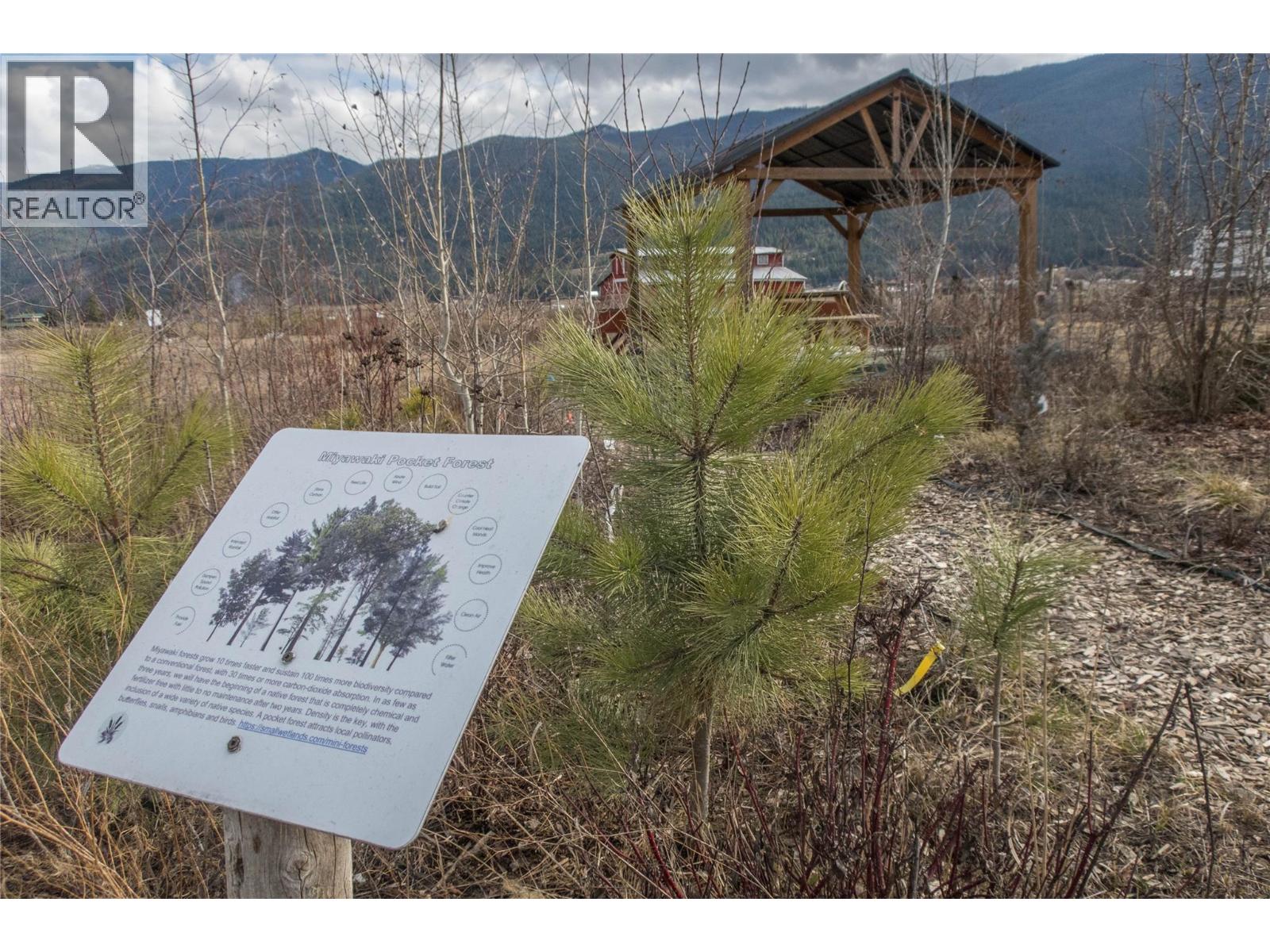 1978 Pleasant Valley Road, Spallumcheen, British Columbia V4Y 0T7 - Photo 45 - 10376530