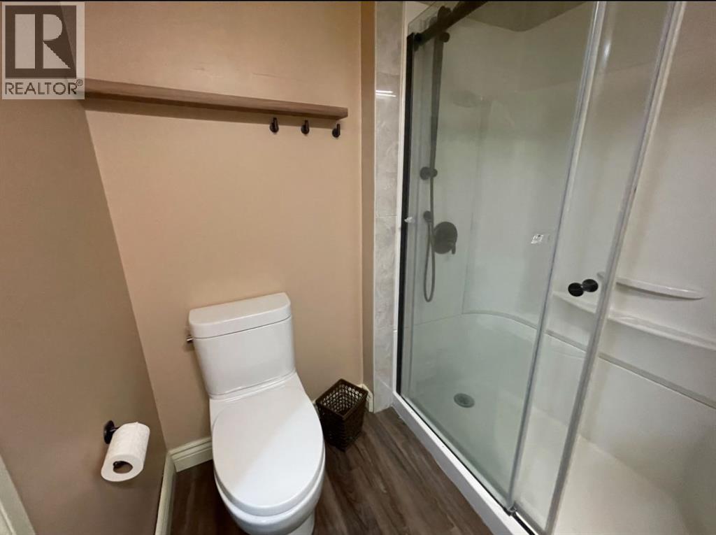 14115 Township Road 544, Peers, Alberta  T7E 3W9 - Photo 42 - A2279403