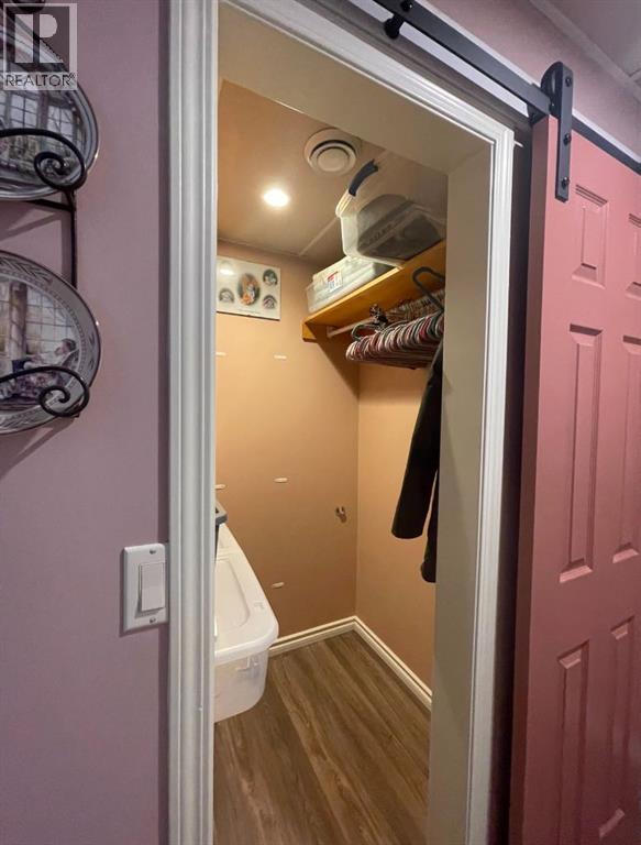 14115 Township Road 544, Peers, Alberta  T7E 3W9 - Photo 45 - A2279403