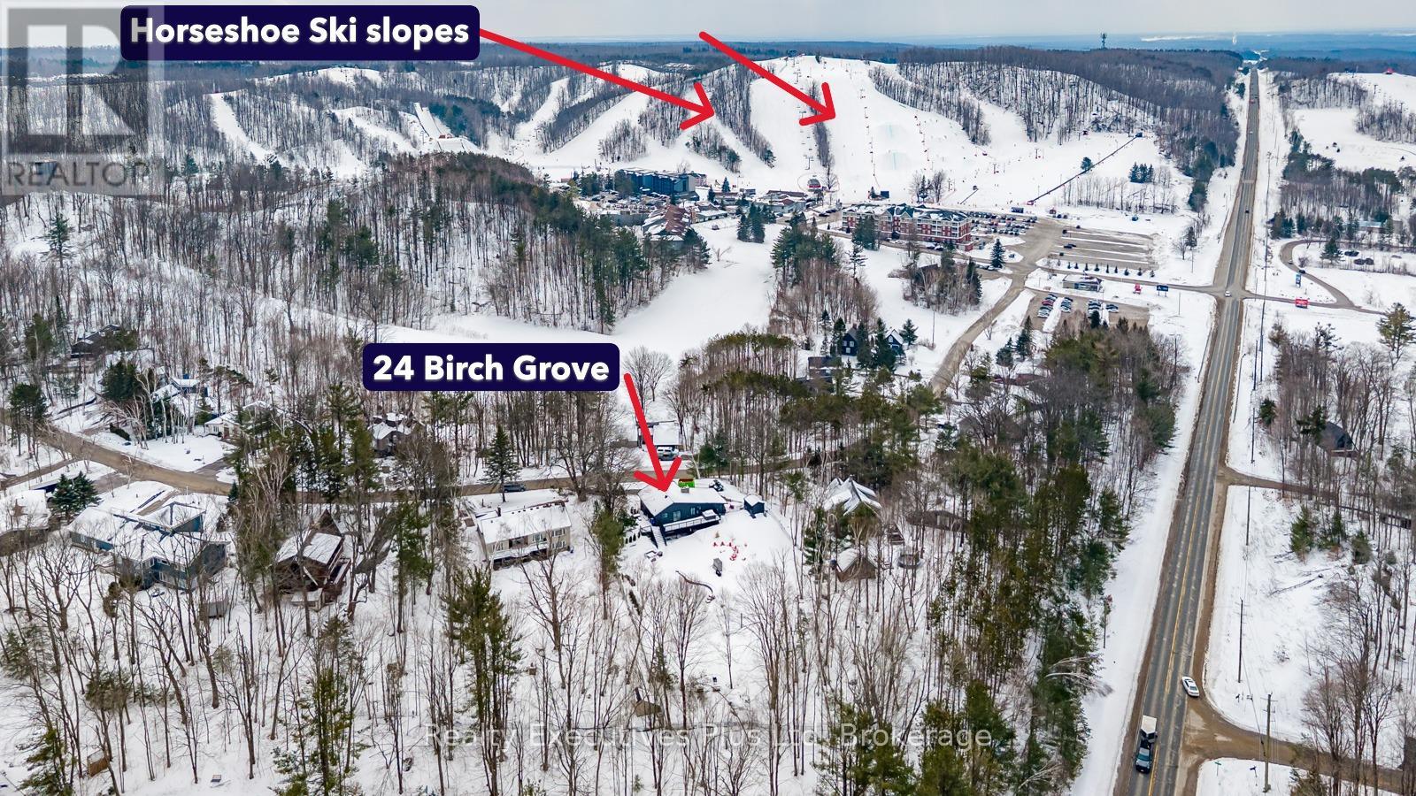 24 Birch Grove Drive, Oro-Medonte, Ontario  L4M 4Y8 - Photo 28 - S12916908