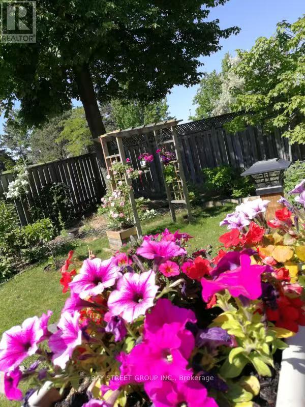 Unknown Address, ,    - Photo 35 - W12932578