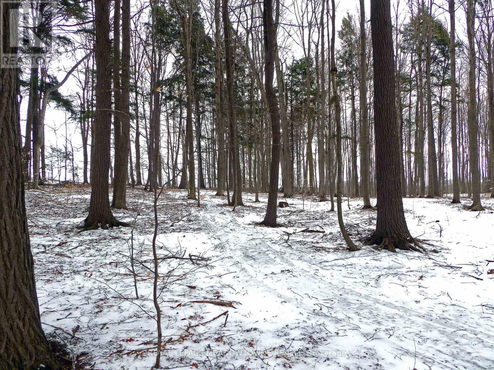 8949 Wellington Rd 22 Road, Erin, Ontario  N0B 1Z0 - Photo 10 - X12902234