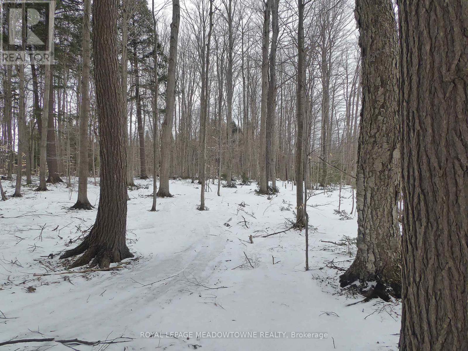 8949 Wellington Rd 22 Road, Erin, Ontario  N0B 1Z0 - Photo 12 - X12902234