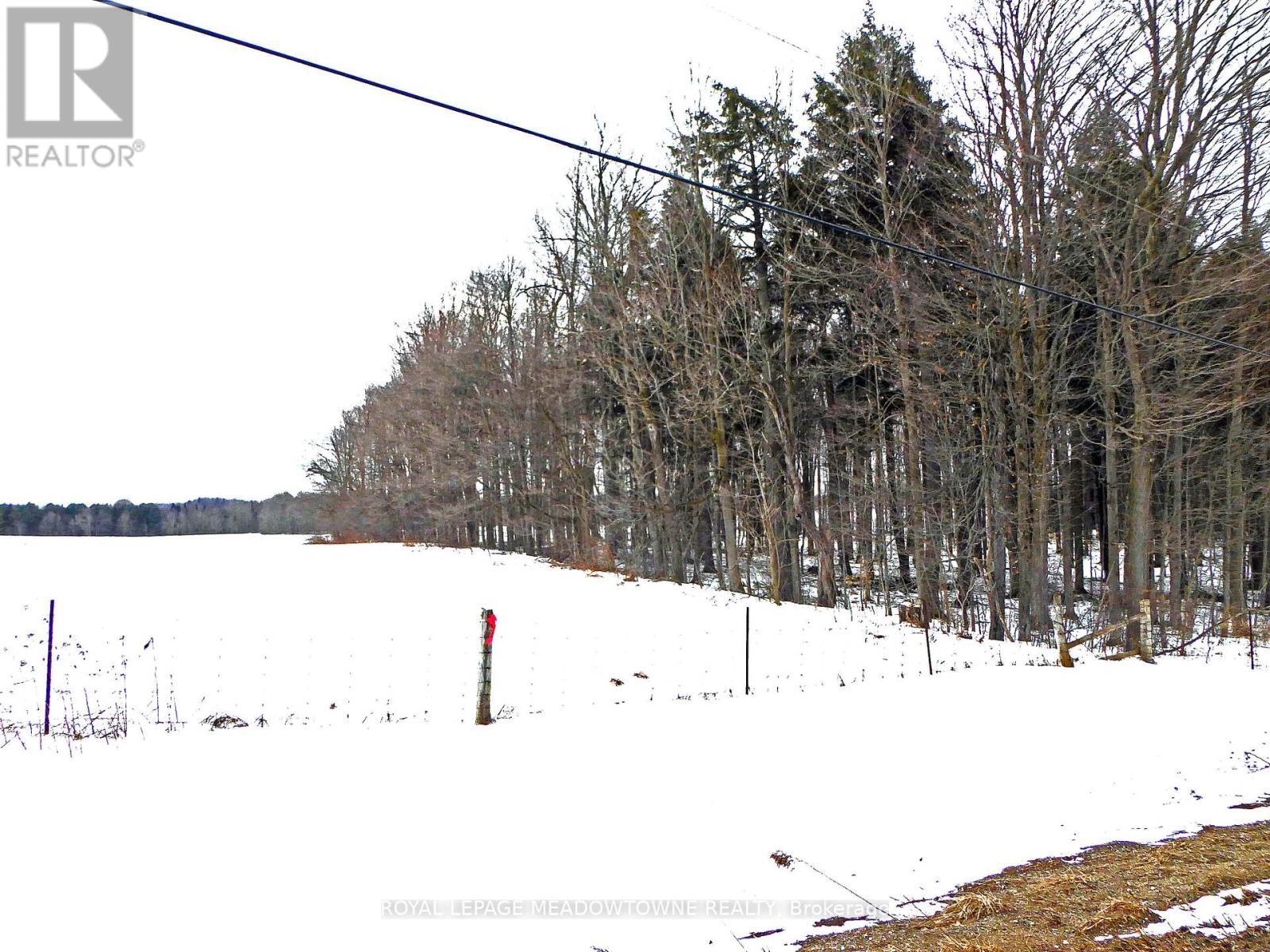 8949 Wellington Rd 22 Road, Erin, Ontario  N0B 1Z0 - Photo 13 - X12902234