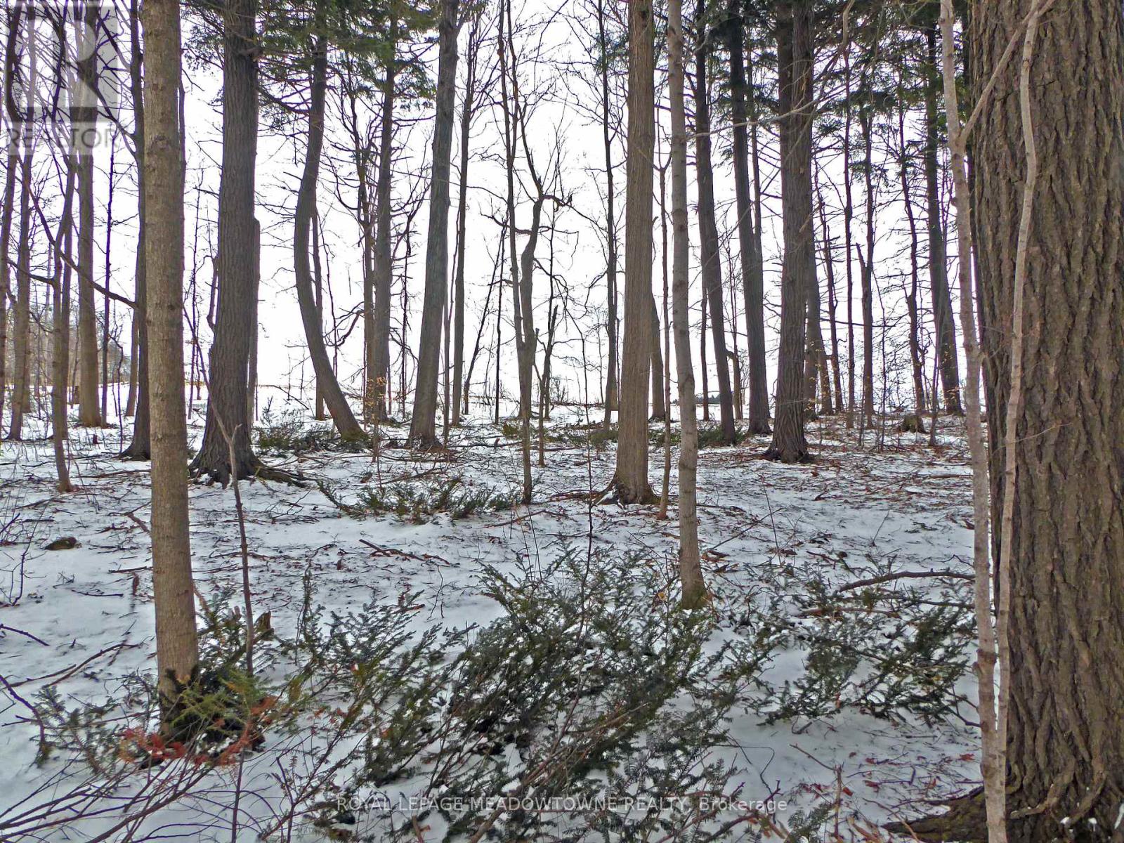 8949 Wellington Rd 22 Road, Erin, Ontario  N0B 1Z0 - Photo 11 - X12902234