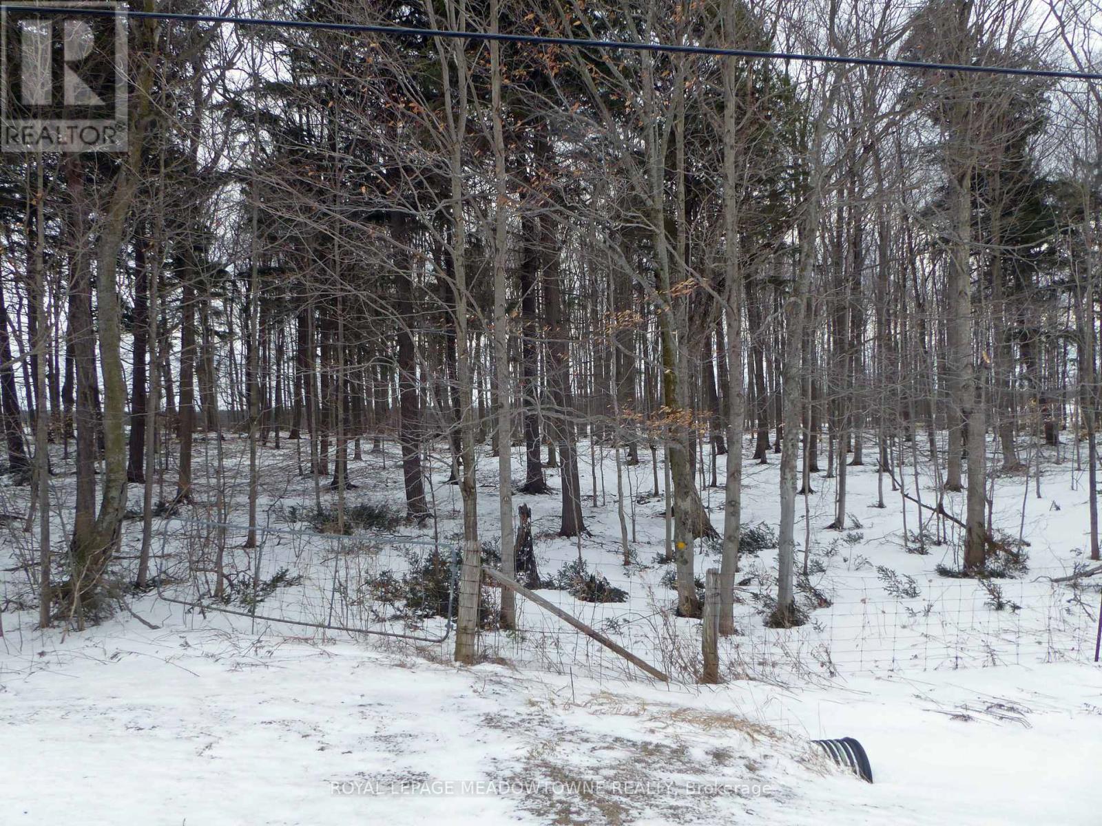 8949 Wellington Rd 22 Road, Erin, Ontario  N0B 1Z0 - Photo 7 - X12902234