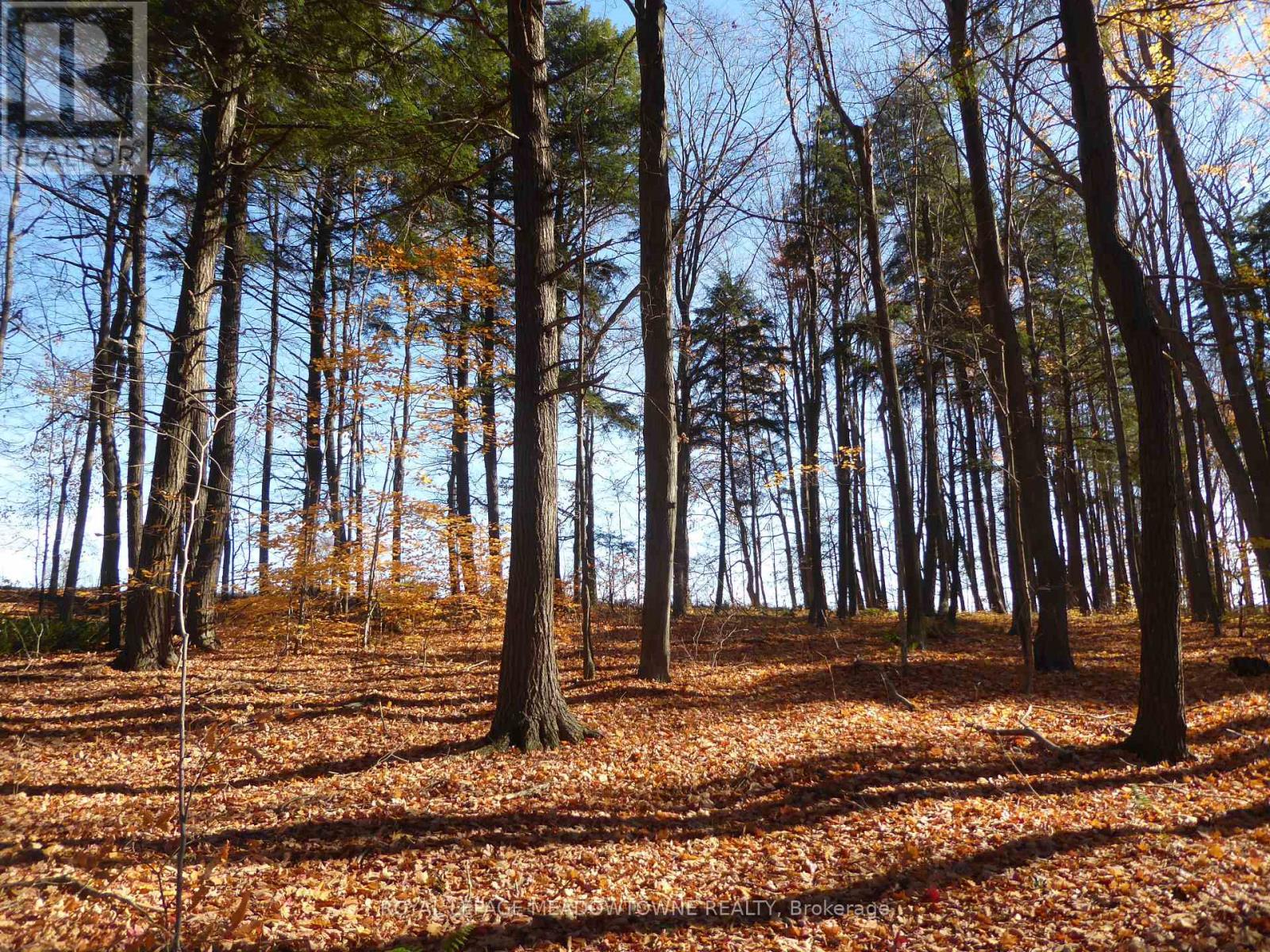 8949 Wellington Rd 22 Road, Erin, Ontario  N0B 1Z0 - Photo 25 - X12902234