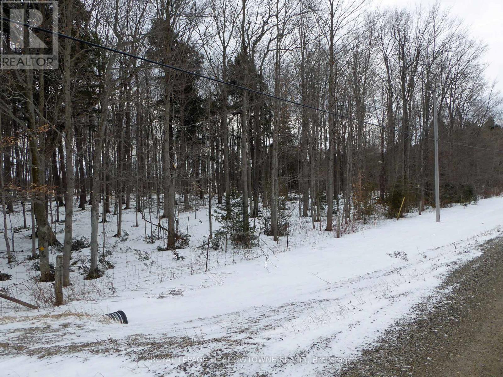 8949 Wellington Rd 22 Road, Erin, Ontario  N0B 1Z0 - Photo 6 - X12902234