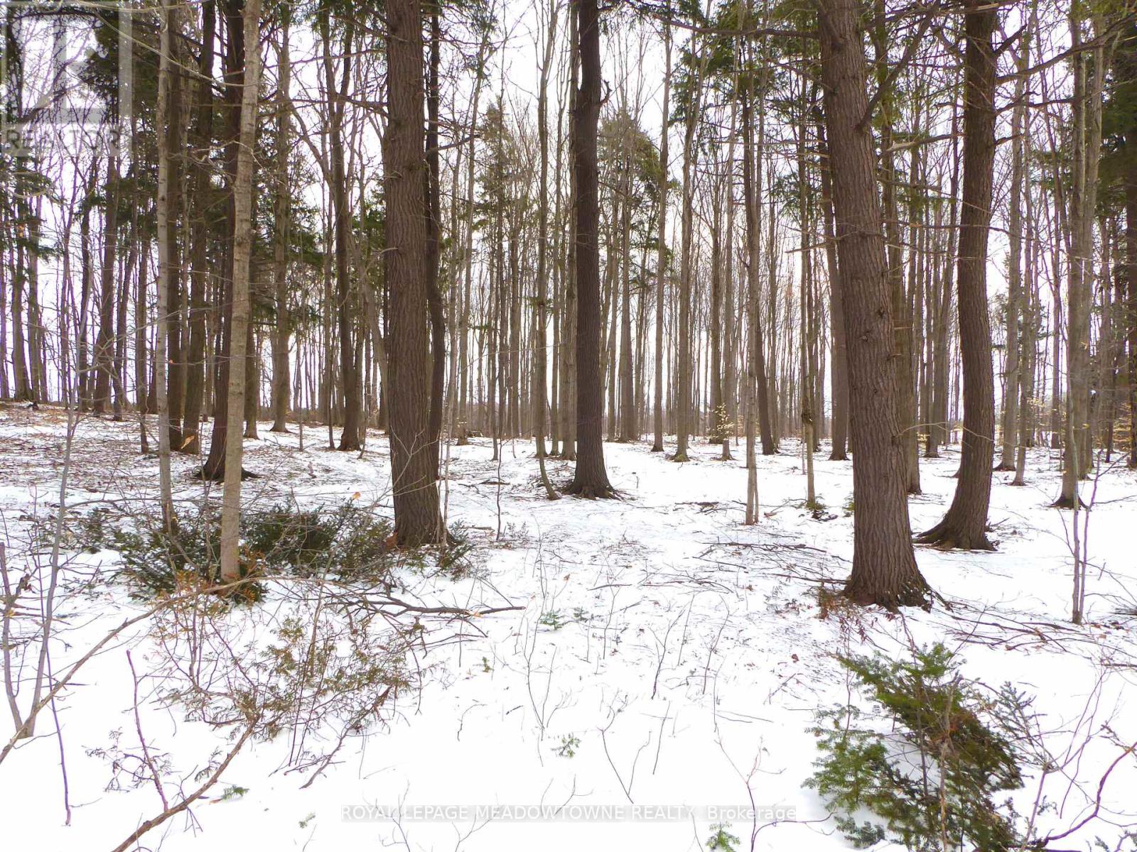 8949 Wellington Rd 22 Road, Erin, Ontario  N0B 1Z0 - Photo 8 - X12902234