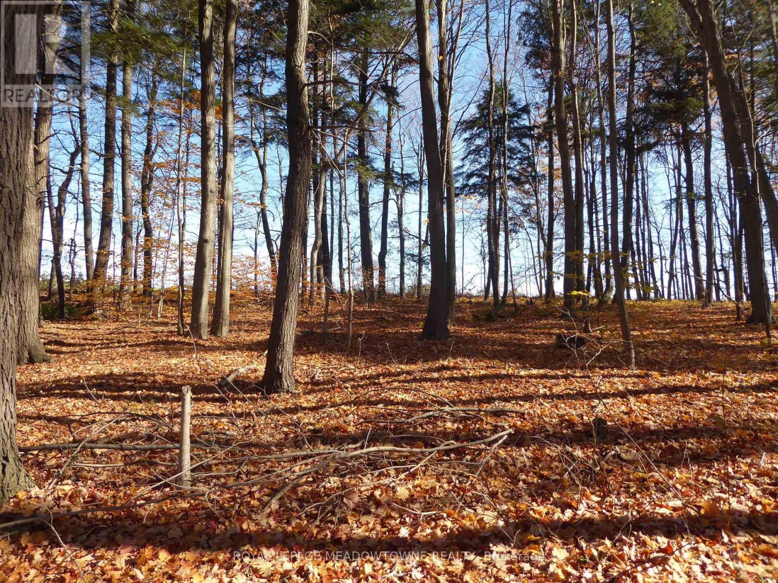 8949 Wellington Rd 22 Road, Erin, Ontario  N0B 1Z0 - Photo 26 - X12902234