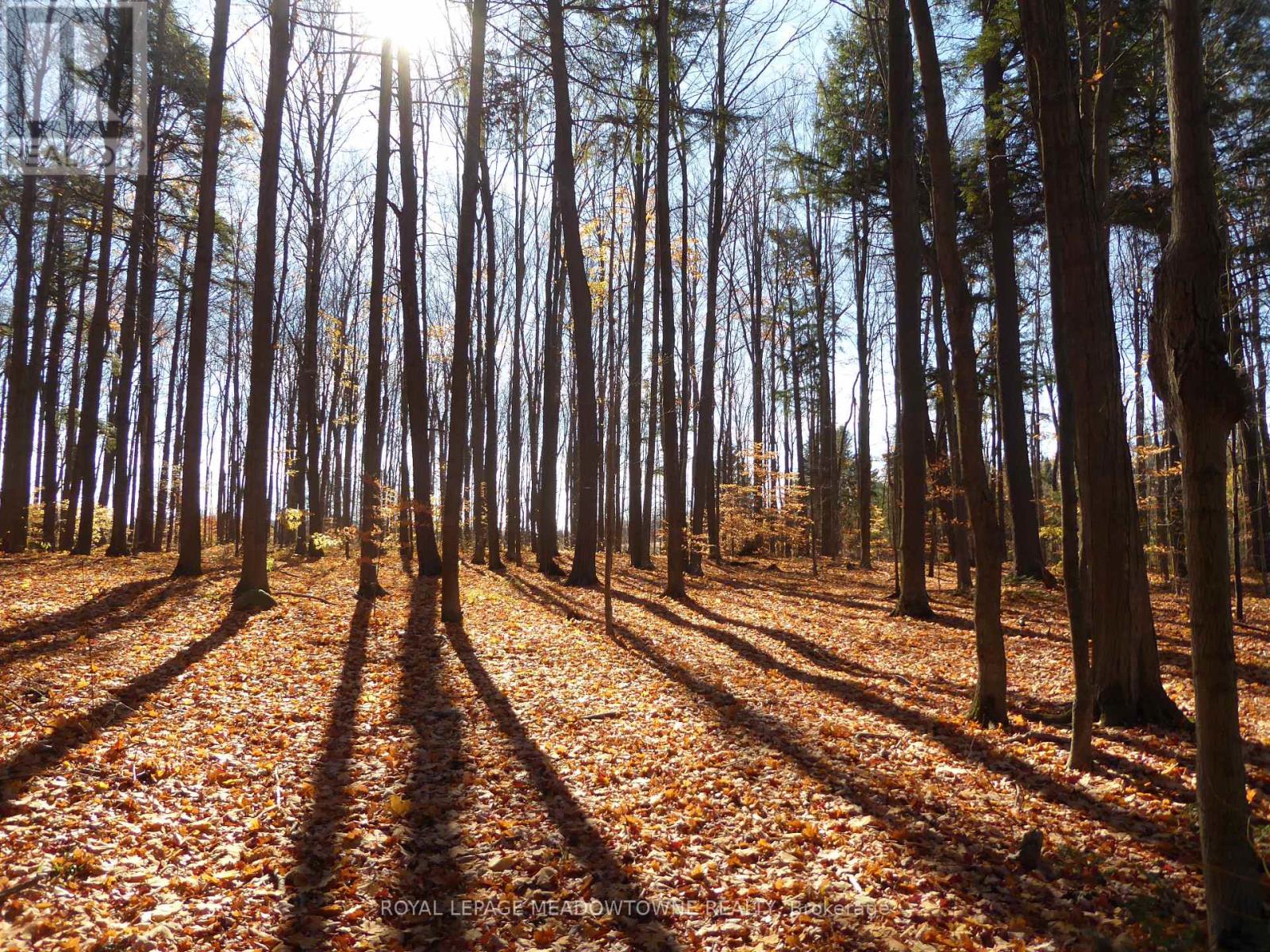 8949 Wellington Rd 22 Road, Erin, Ontario  N0B 1Z0 - Photo 2 - X12902234