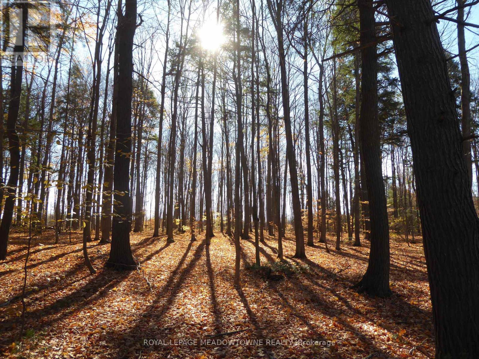 8949 Wellington Rd 22 Road, Erin, Ontario  N0B 1Z0 - Photo 23 - X12902234