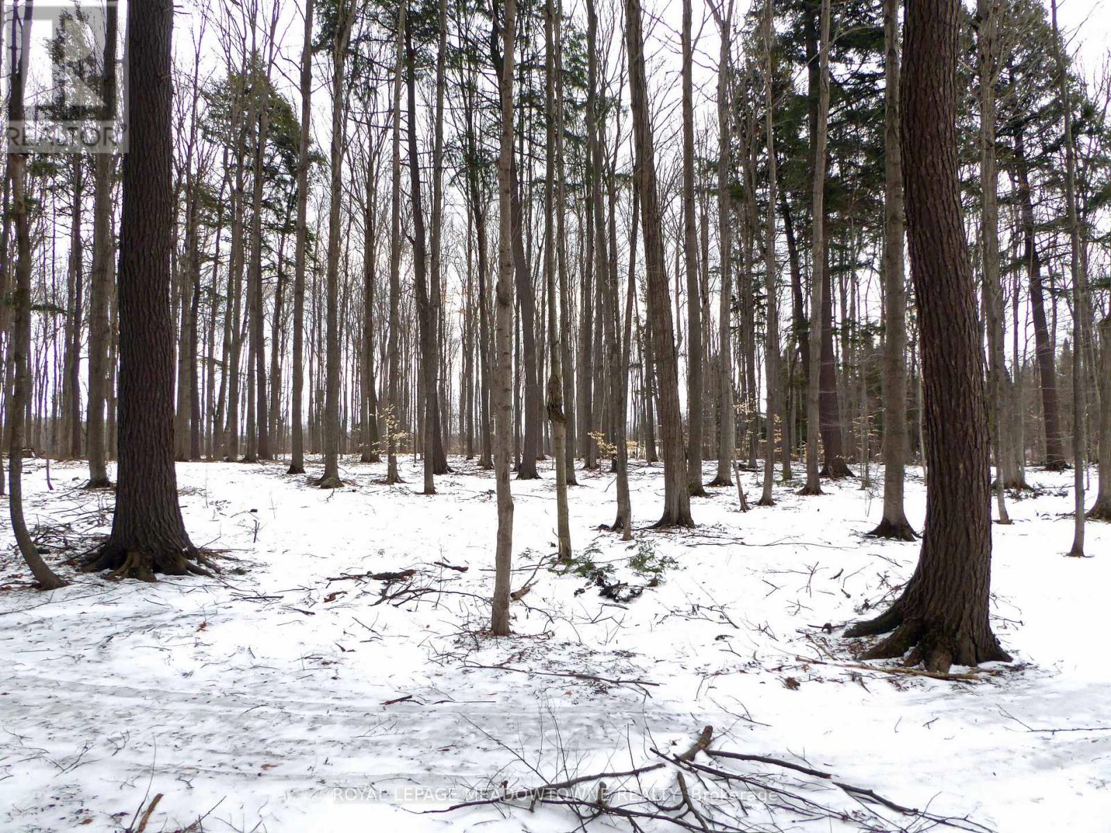 8949 Wellington Rd 22 Road, Erin, Ontario  N0B 1Z0 - Photo 9 - X12902234