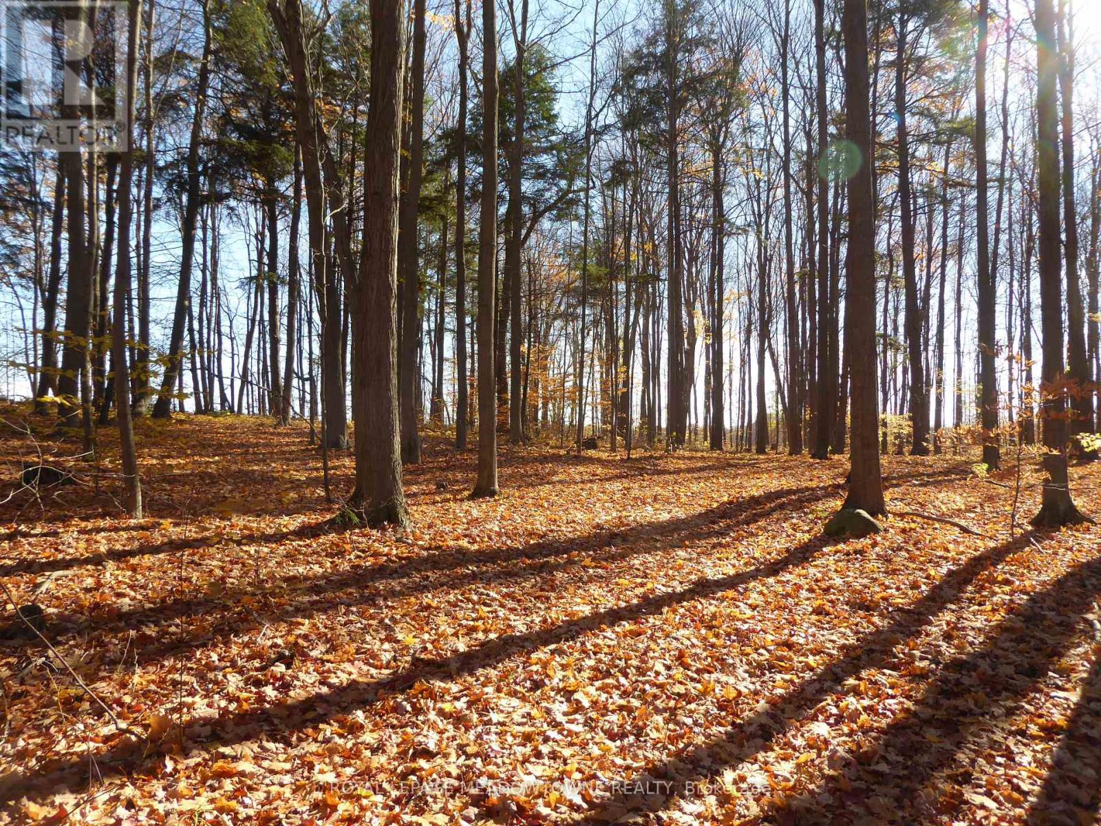 8949 Wellington Rd 22 Road, Erin, Ontario  N0B 1Z0 - Photo 27 - X12902234