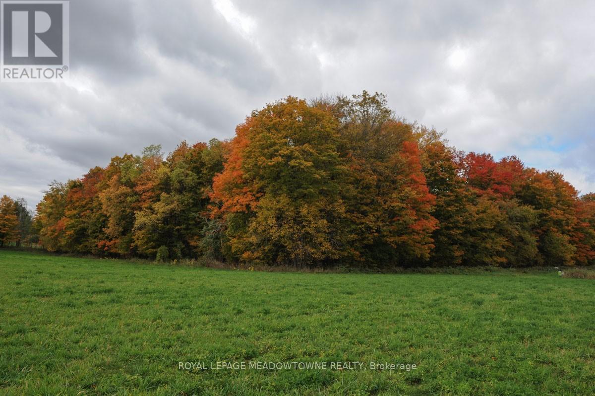 8949 Wellington Rd 22 Road, Erin, Ontario  N0B 1Z0 - Photo 4 - X12902234