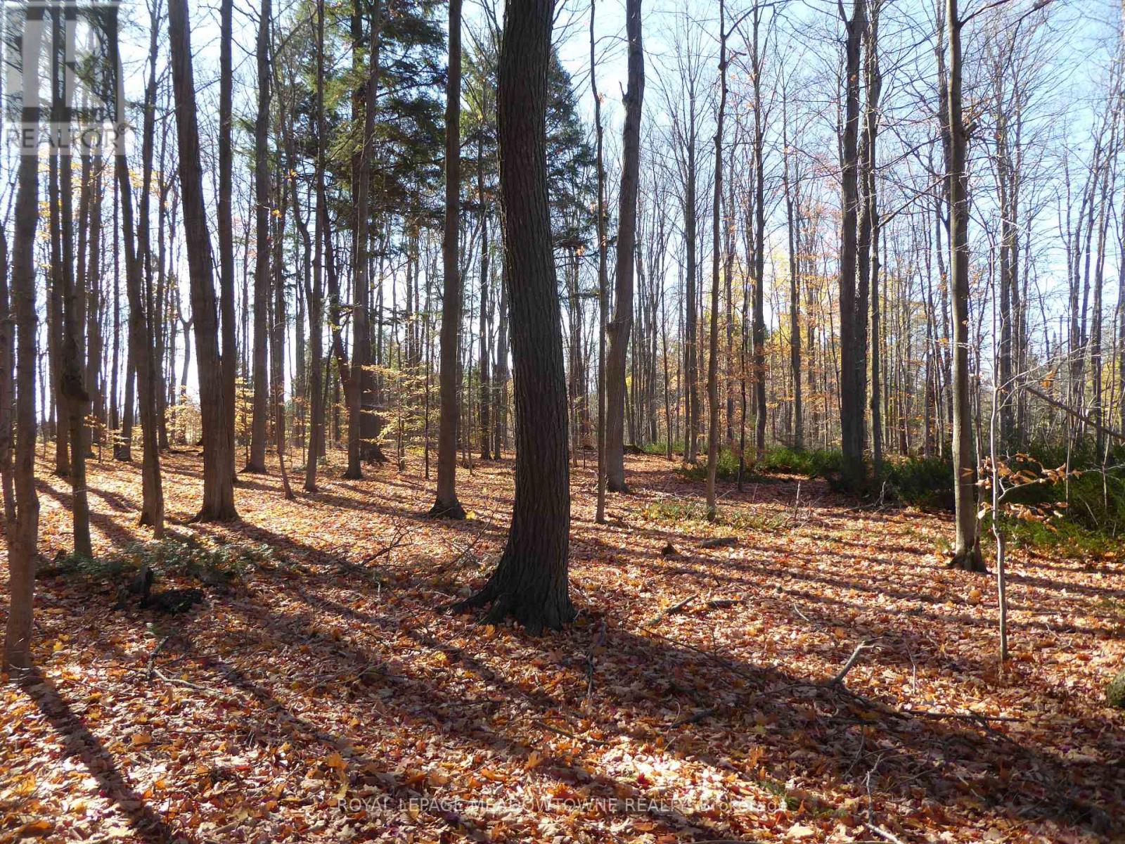 8949 Wellington Rd 22 Road, Erin, Ontario  N0B 1Z0 - Photo 24 - X12902234