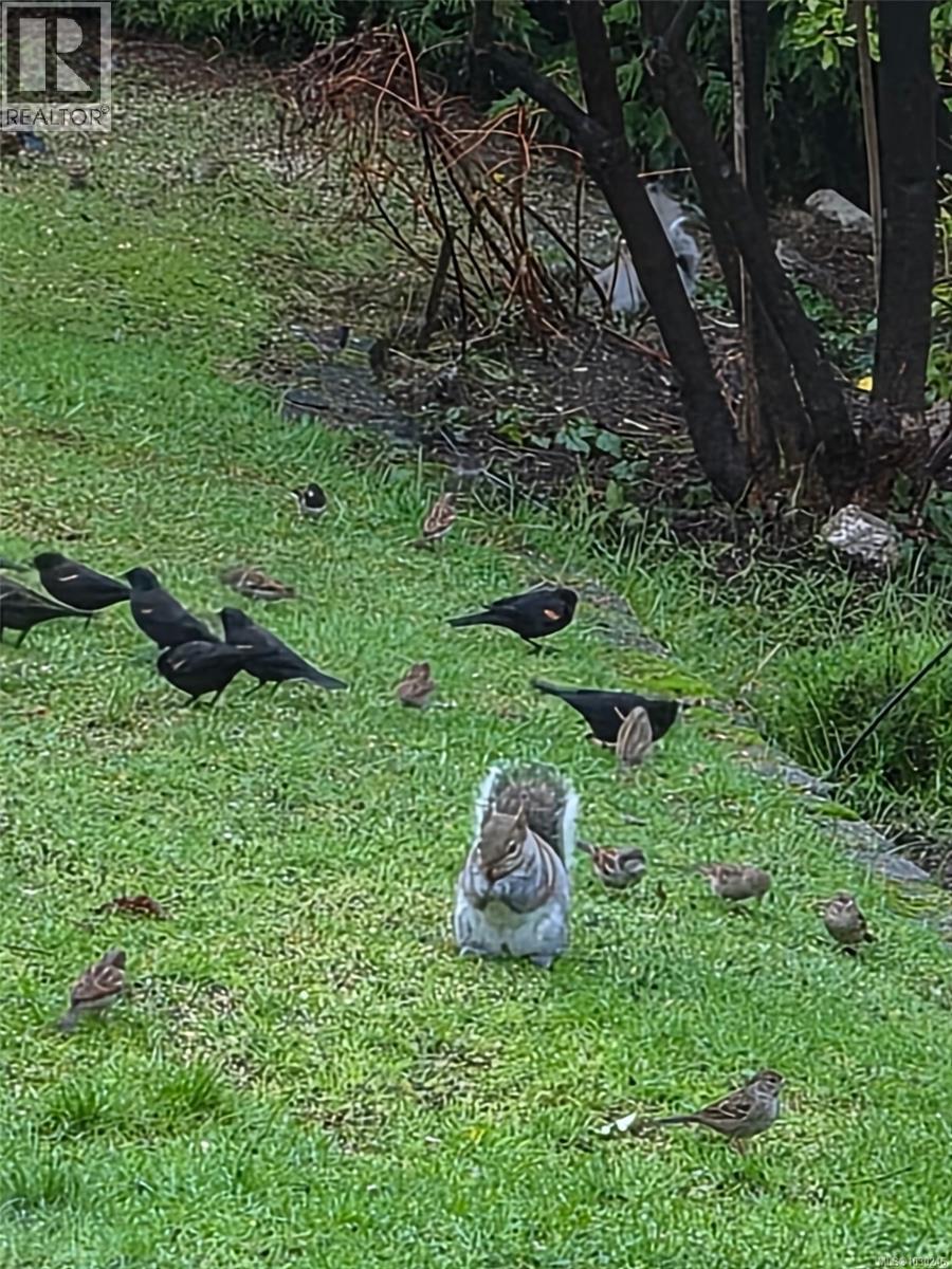 2942 Sherman Rd, Duncan, British Columbia  V9L 2B6 - Photo 46 - 1030246