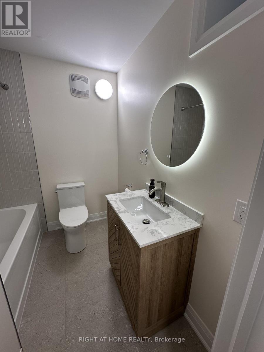 Lower - 187 Oak Avenue, Hamilton, Ontario  L8L 5M9 - Photo 8 - X12932708