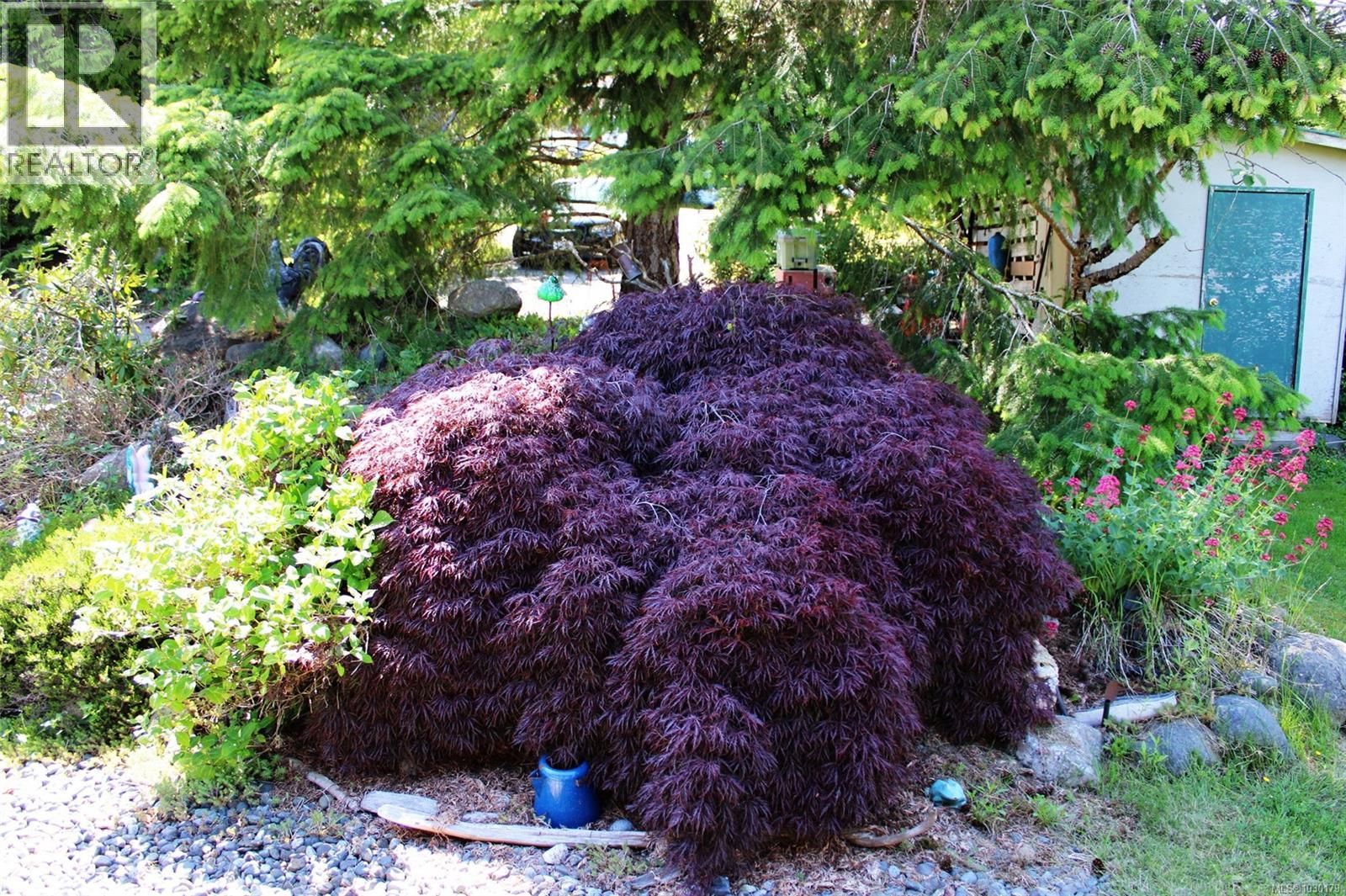 5904 Garvin Rd, Union Bay, British Columbia  V0R 3B0 - Photo 12 - 1030179